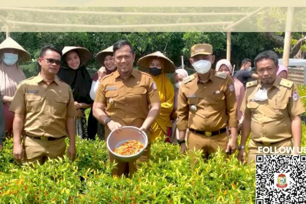 DKP Makassar dan Camat Tamalanrea Hadiri Panen Perdana KWT Andara Bonsel