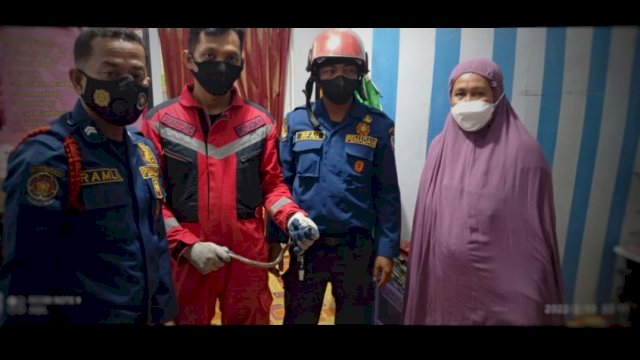 Musim Hujan, Animal Rescue Damkar Makassat Mulai Sibuk Tangani Ular