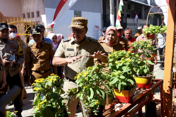 Andalkan Tanaman Hidroponik, Danny Pomanto Kunjungi Longwis Dewi Sari Zurich Tamalanrea