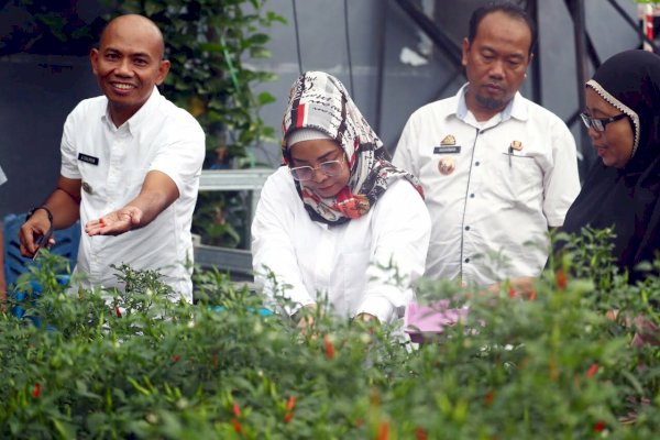 Legislator DPRD Makassar Apresiasi Longwis Kecamatan Tamalanrea