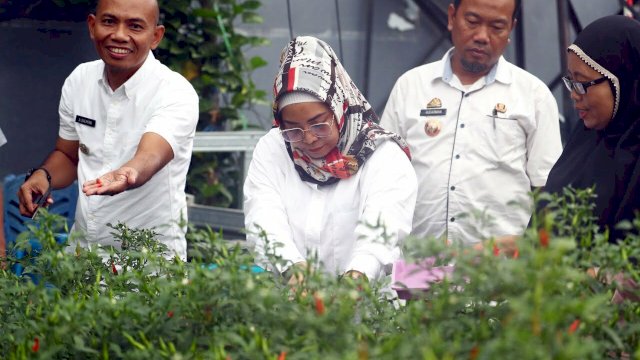 Legislator DPRD Makassar Apresiasi Longwis Kecamatan Tamalanrea