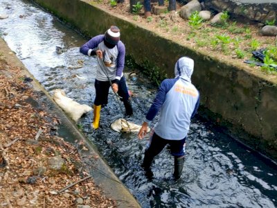 Antisipasi Banjir di Musim Hujan, DPU Makassar Turunkan Satgas Drainase Lakukan Pengerukan