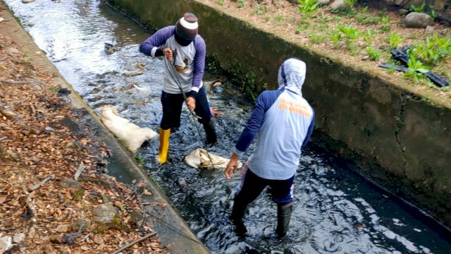 Antisipasi Banjir di Musim Hujan, DPU Makassar Turunkan Satgas Drainase Lakukan Pengerukan