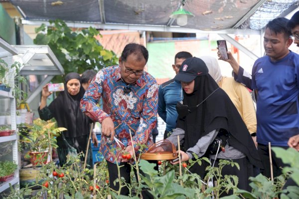 Kunjungi Longwis Haderslave Kelurahan Maloku, Danny Pomanto Panen Sayur