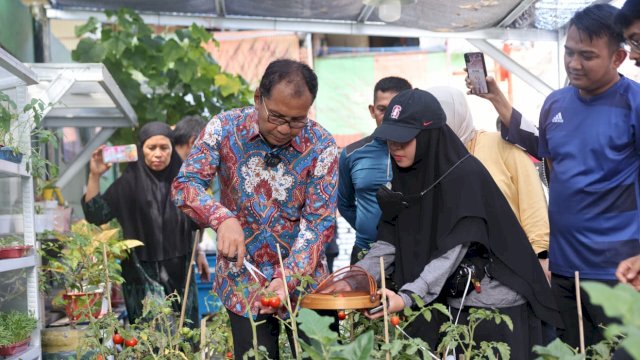 Kunjungi Longwis Haderslave Kelurahan Maloku, Danny Pomanto Panen Sayur