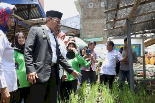 Danny Pomanto Kunjungi Longwis di Kecamatan Makassar