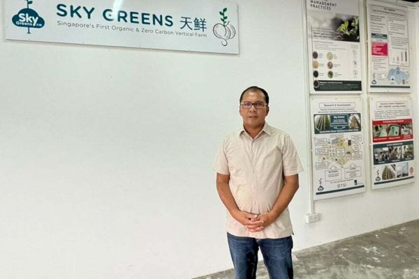 Wali Kota Danny Siapkan Konsep City Farming Sky Greens Singapura untuk Lorong Wisata