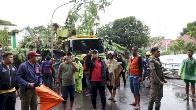 Danny Perintahkan Pangkas Ranting yang Rawan dan Tanggung Biaya Pengobatan Korban Pohon Tumbang