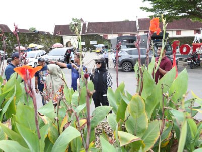 Tata Taman Kota, Fatmawati Rusdi Lakukan Peninjauan Langsung