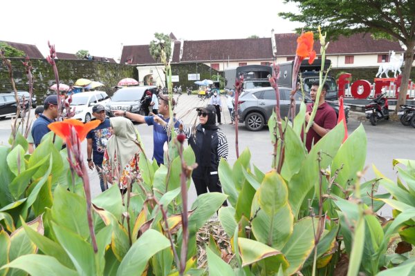 Tata Taman Kota, Fatmawati Rusdi Lakukan Peninjauan Langsung