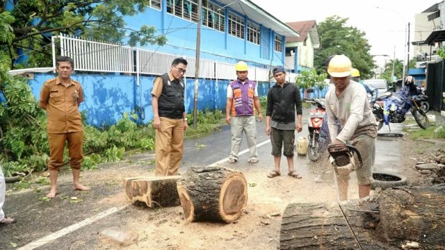 Camat Makassar Tindaklanjuti Pembersihan Pohon Tumbang di Wilayahnya