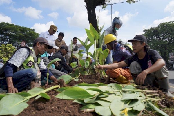 Camat Tamalanrea Fokus Pembenahan Median Tengah