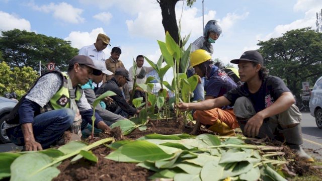 Camat Tamalanrea Fokus Pembenahan Median Tengah