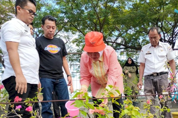 Galakkan Penghijauan, Ketua TP PKK Makassar Harap Hutan Kota Bertambah