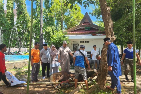 BKPSDM Makassar PT Taspen Bagikan Ratusan Daging Kurban ke Pensiunan ASN, Warga Hingga Laskar Pelangi