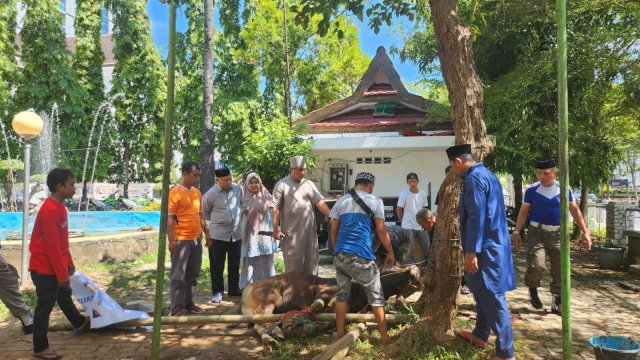 BKPSDM Makassar PT Taspen Bagikan Ratusan Daging Kurban ke Pensiunan ASN, Warga Hingga Laskar Pelangi