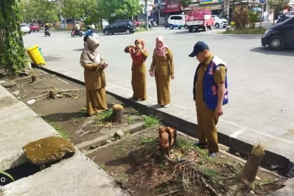 DLH Makassar Akan Sanksi Penebang Pohon Ilegal di Jalan Boulevard