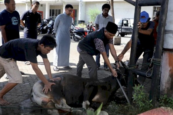 Bapenda Makassar Gelar Pemotongan Hewan Qurban