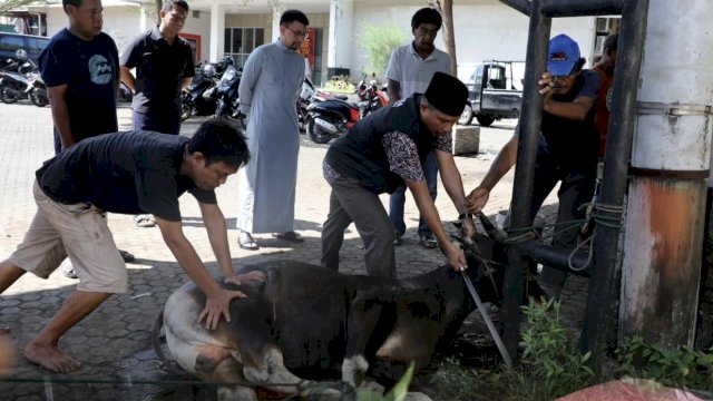 Bapenda Makassar Gelar Pemotongan Hewan Qurban