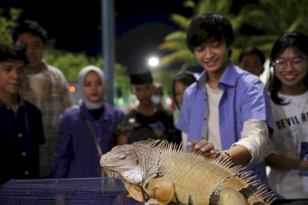 Makassar F8 Sajikan Pengalaman Belajar tentang Fauna yang Menginspirasi