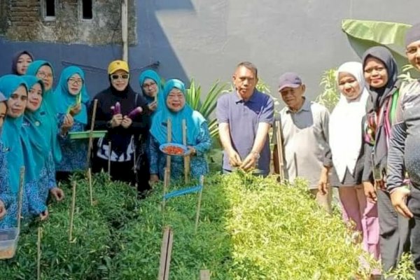 Ketua PKK Kecamatan Tamalate Panen Cabai di Kelurahan Mangasa