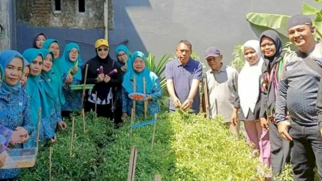 Ketua PKK Kecamatan Tamalate Panen Cabai di Kelurahan Mangasa