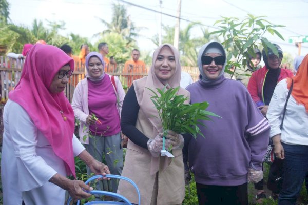 Indira Yusuf Ismail Bersama PJ Ketua TP PKK Provinsi Sulsel, Panen Sayur di Lorong PKK Makassar