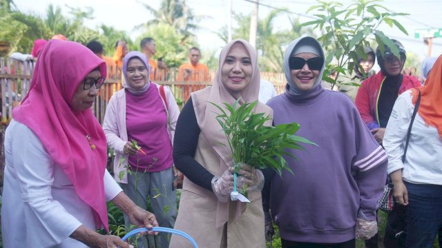 Indira Yusuf Ismail Bersama PJ Ketua TP PKK Provinsi Sulsel, Panen Sayur di Lorong PKK Makassar