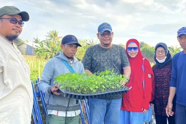 Camat Tamalate Terima Bantuan Bibit Cabe