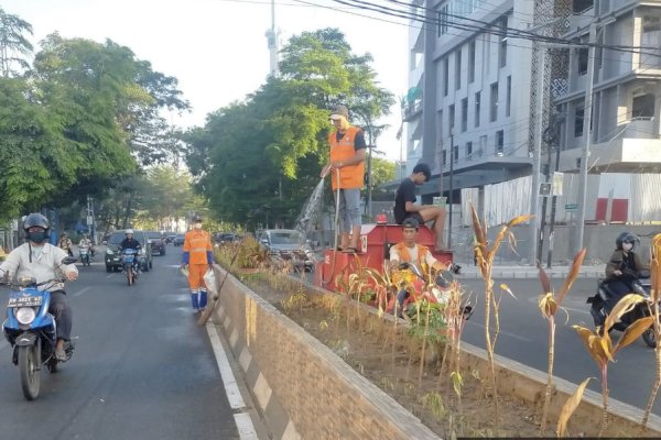 Lurah Tompo Balang Pantau Kebersihan di Wilayahnya