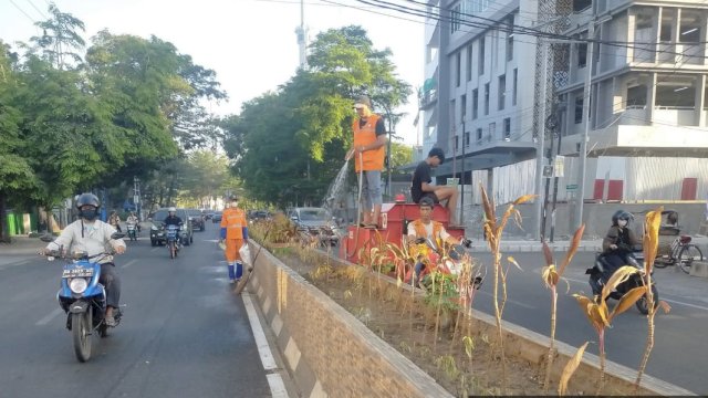 Lurah Tompo Balang Pantau Kebersihan di Wilayahnya