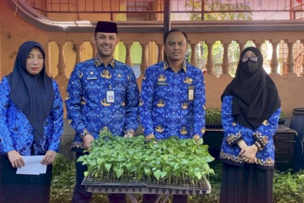 Plt Camat Bontoala Terima Bantuan Bibit Cabe