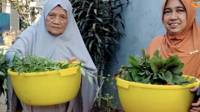 Terbukti Baik Untuk Semua, Warga Longwis Adelaide Panen Bayam dan Kangkung