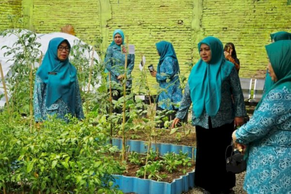 TP PKK Kota Makassar Laksanakan SMEP dan Kunjungan Lorong PKK Di Kecamatan Panakkukang