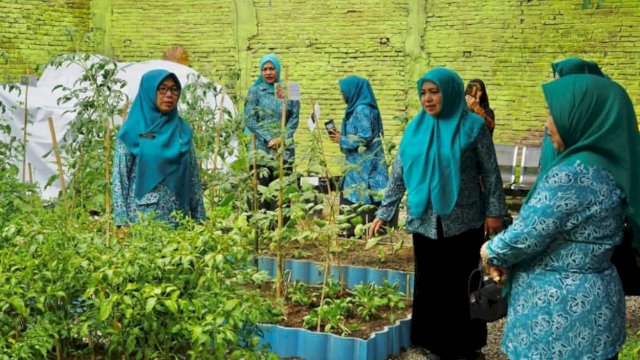 TP PKK Kota Makassar Laksanakan SMEP dan Kunjungan Lorong PKK Di Kecamatan Panakkukang