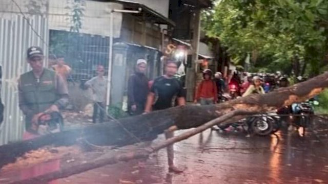 Gerak Cepat Satgas Panakkukang, Sterilisasi Pohon Tumbang Di 2 Lokasi Berbeda