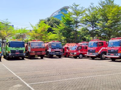 Damkar Makassar Berhasil Mengevakuasi Ular di Pekarangan Rumah Warga