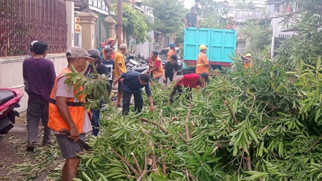 Satgas Kebersihan Kecamatan Makassar Bersihkan Pohon Tumbang di Jalan Lembu