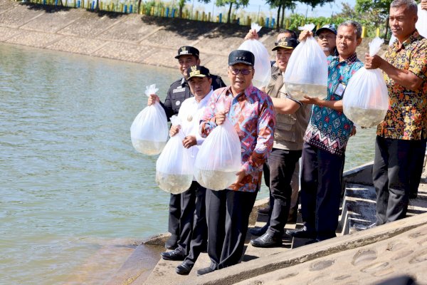 Danny Pomanto Lepas Puluhan Ribu Benih Ikan Air Tawar di Waduk Nipa-Nipa