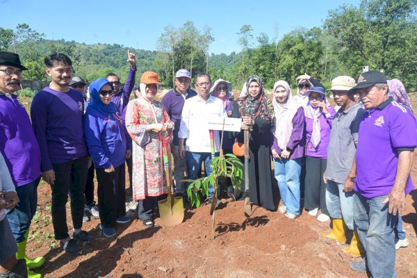 Indira Yusuf Ismail Ikut Tanam Pohon Peringati HUT ke 87 Keluarga HIKMA Enrekang