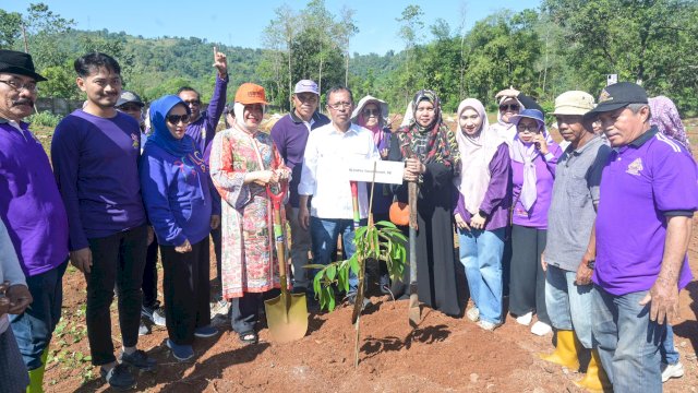 Indira Yusuf Ismail Ikut Tanam Pohon Peringati HUT ke 87 Keluarga HIKMA Enrekang
