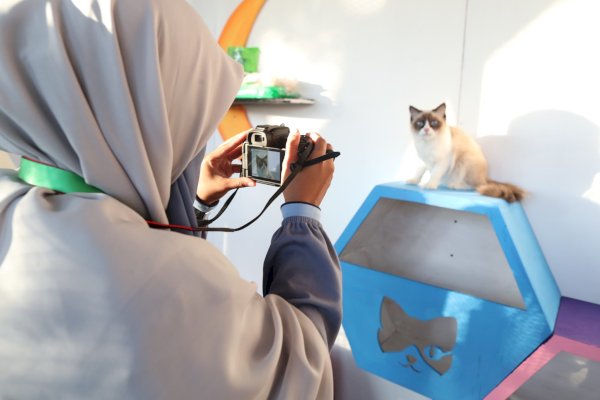 Fotografi Fauna di Event F8: Tantangan dan Keindahan yang Tak Terlupakan