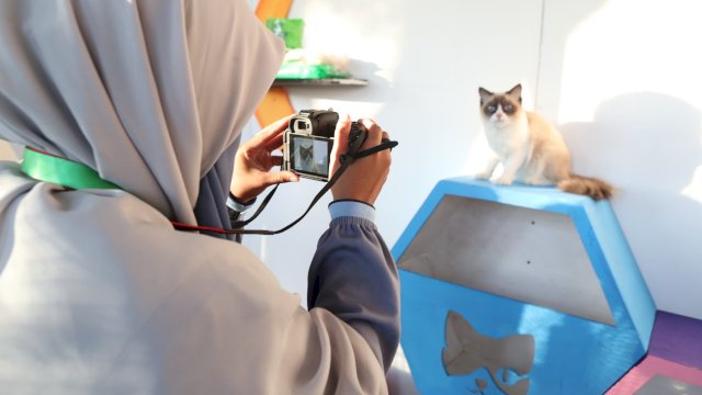 Fotografi Fauna di Event F8: Tantangan dan Keindahan yang Tak Terlupakan