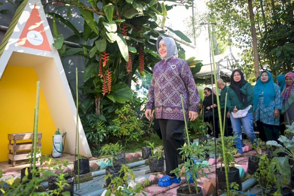 Ketua TP PKK Makassar Tinjau Lorong Wisata Gembira, Agatis Farm, dan Maastricht