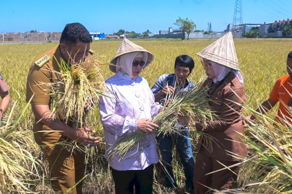 Indira Yusuf Ismail Tekankan Peran Lorong Wisata untuk Pembangunan Pertanian Berkelanjutan