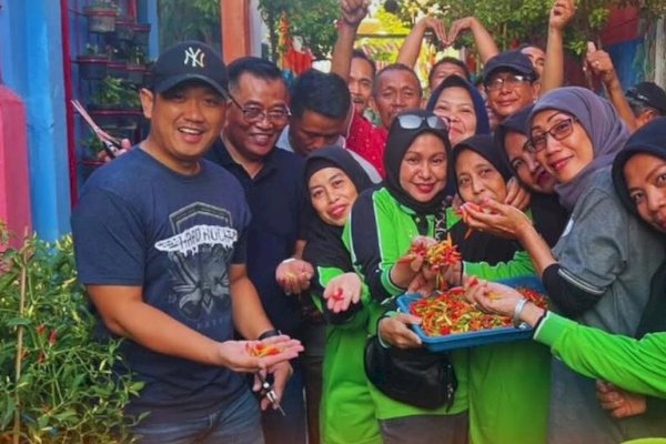 Camat Bontoala Kunjungi KWT Teratai Panen Cabai dan Kangkung