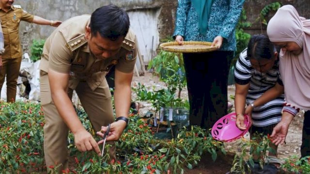 Camat Bontoala Panen Cabai di Kelurahan Parang Layang